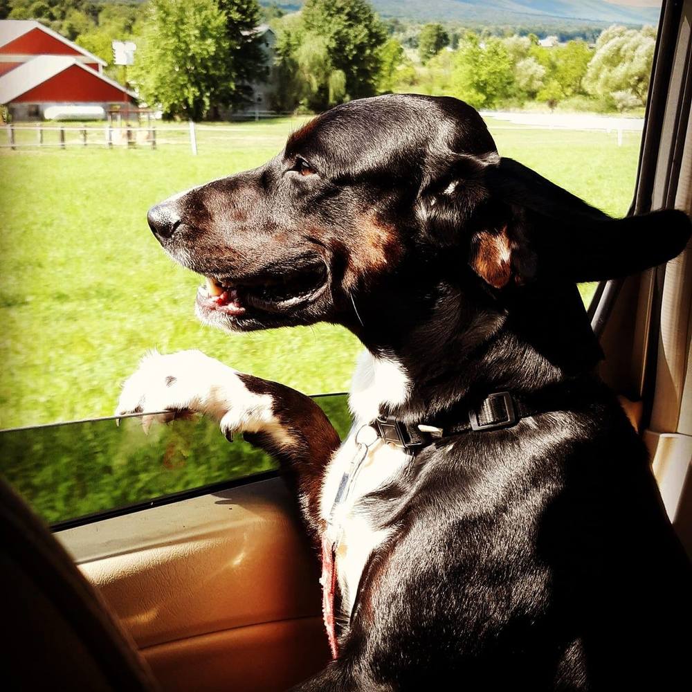 Meet your Posher, Leah